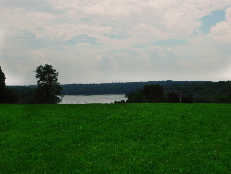 Lake Overlook