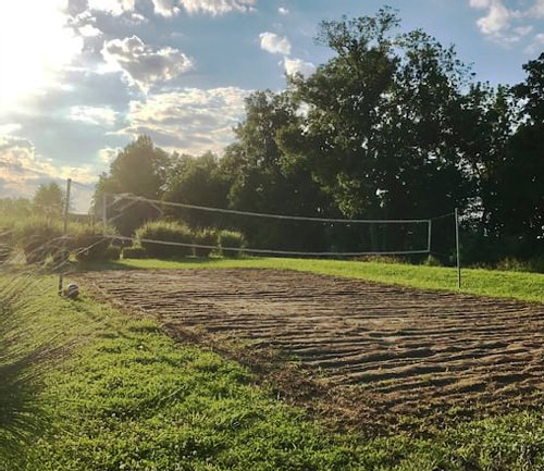 Volleyball Court