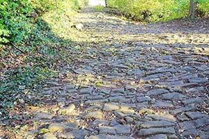 Bardstown Cobblestone Path at 209 E Broadway St, Bardstown, KY 40004
