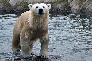 Louisville Zoo at 1100 Trevilian Way, Louisville, KY 40213