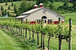 Lovers Leap Vineyards & Winery at 1180 Lanes Mill Rd, Lawrenceburg, KY 40342