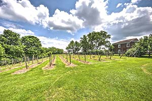 Springhill Winery and Vineyard at 3205 Springfield Road, Bloomfield, KY 40008
